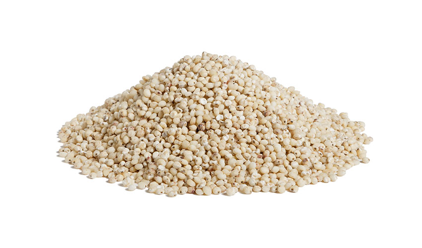 SORGHUM - It’s the fifth cereal in order of importance in the global agricultural economy. Rich in fiber, but gluten free, it’s perfect also in the diet of the people who are intolerant of this protein. Easy to digest it contains important salt minerals.